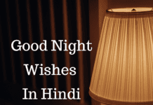 100+ Good Night Wishes In Hindi Good Night Wishes In Hindi