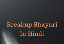 Breakup Shayari In Hindi | 150+ बेस्ट ब्रेकअप शायरी हिंदी में Breakup Shayari In Hindi