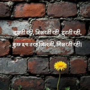 जूझती रही, बिखरती रही, टूटती रही - Theshayaris.in